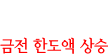 금전 한도액 상승