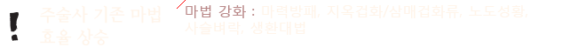 주술사 기존마법 효율 상승 - 