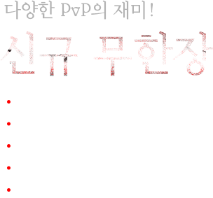 다양한 pvp의 재미 신규 무한장