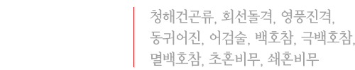 전사