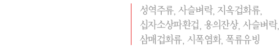 주술사