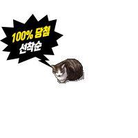 [하우징]고양이