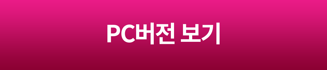 PC버전 보기