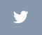 Ʈ����