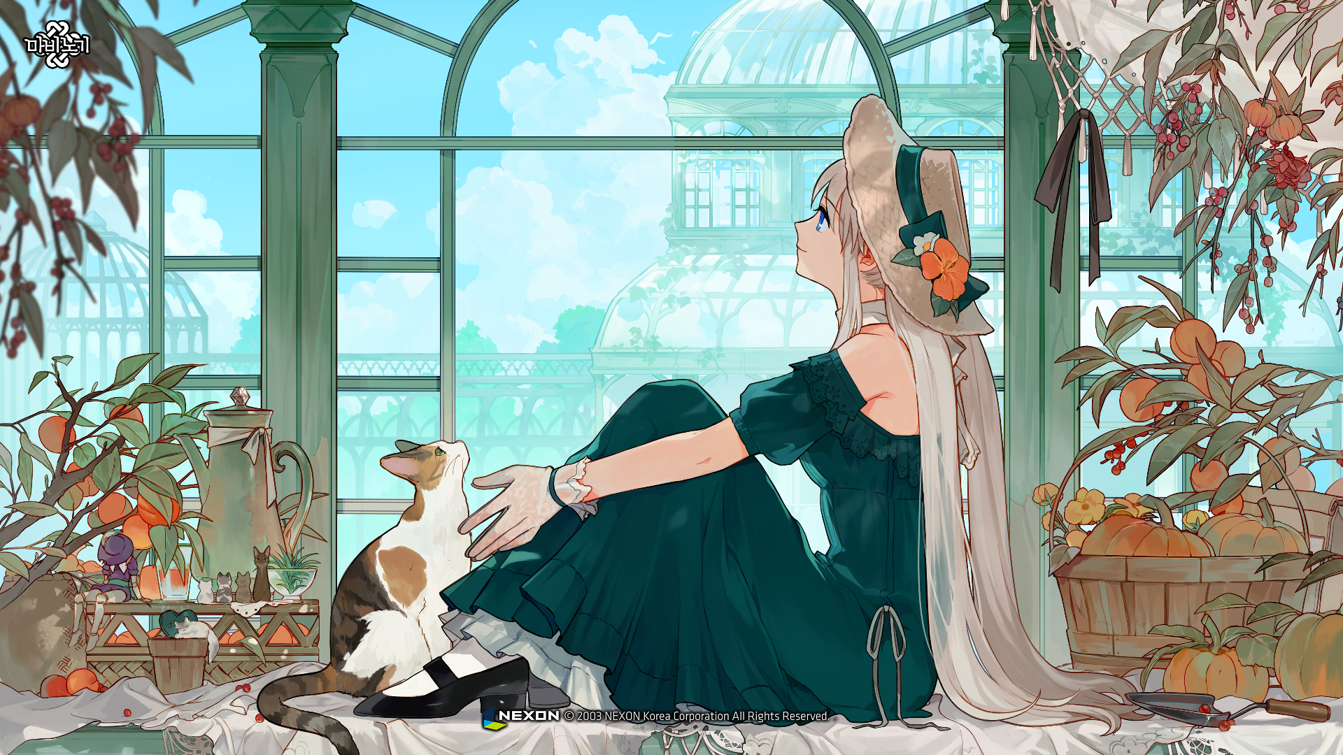 카테고리 대표 이미지