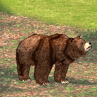  ̹