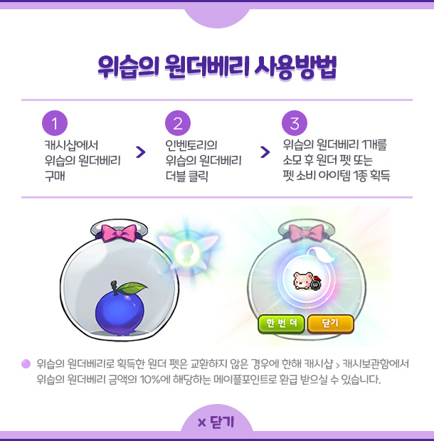 위습의 원더베리 사용방법