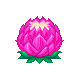 연꽃